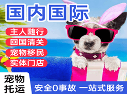 阿拉善空运地址国际宠物托运 【国